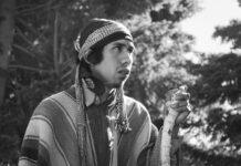 “La lucha del pueblo mapuche no se termina acá”